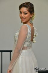 Anu Emmanuel at Kittu Unnaadu Jagratha Movie Gummadikaya Function